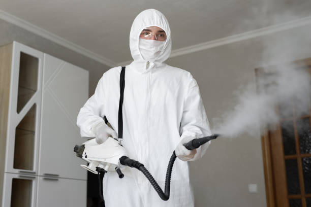 Mold Removal for HVAC Installations in West Carrollton, OH